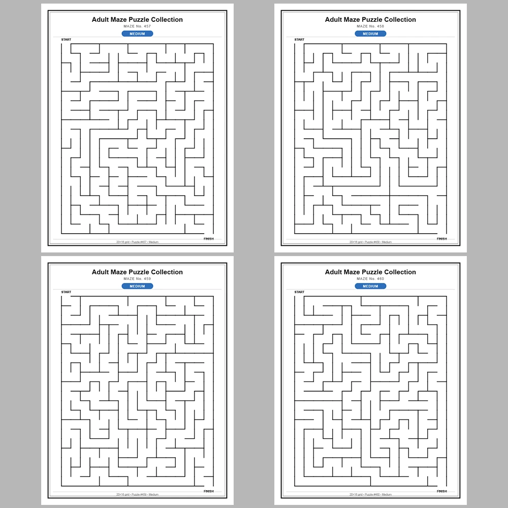 Maze Puzzle Medium 50 Pages of Puzzles – Vol. 10