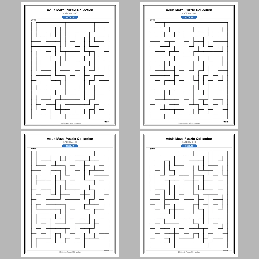 Maze Puzzle Medium 50 Pages of Puzzles – Vol. 11