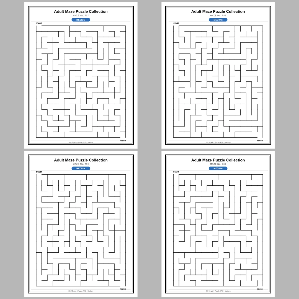 Maze Puzzle Medium 50 Pages of Puzzles – Vol. 16