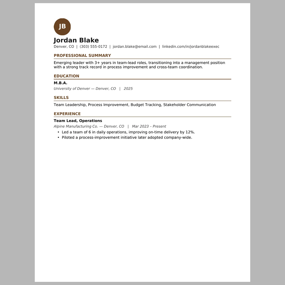 New Executive Resume Template | ATS-Friendly Word & PDF Resume