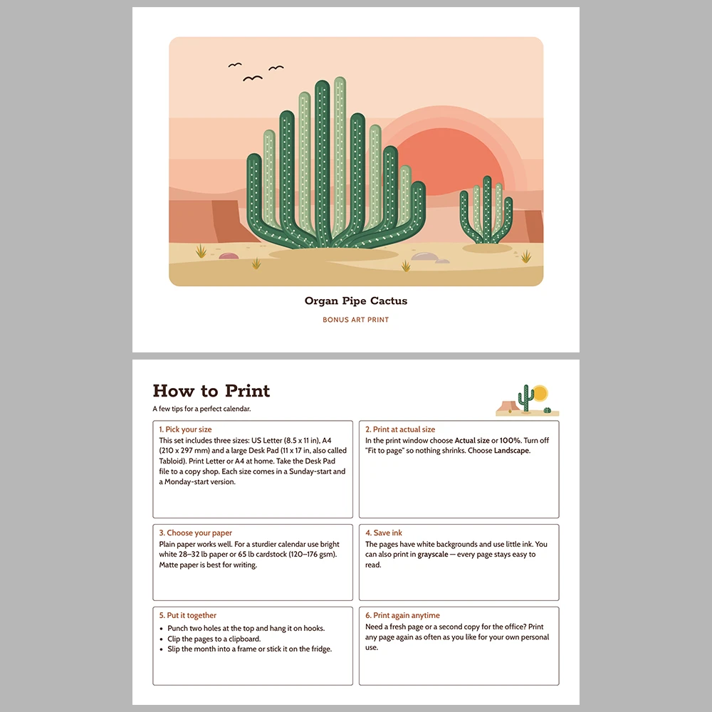 2027 Desert Southwest Calendar Printable | Cactus Desert Art Monthly Wall Calendar | Sunday & Monday Start | Letter A4 Desk Pad PDF