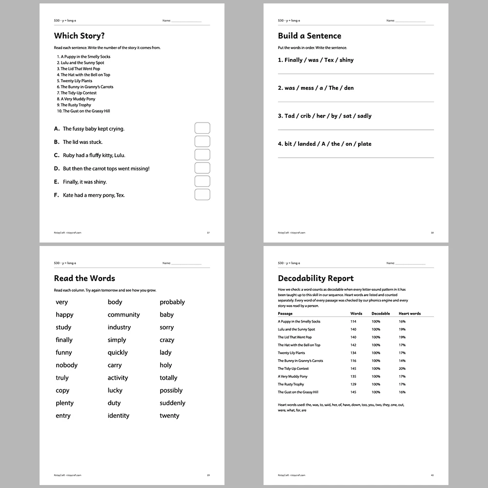 y = long e Decodable Readers | 10 Stories 44 Pages | Phonics Printable PDF | Ages 6-8