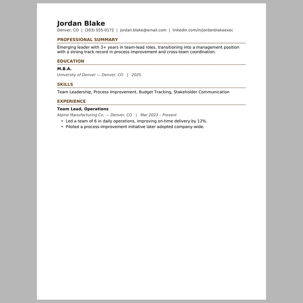 New Executive Resume Template | ATS-Friendly Word & PDF Resume