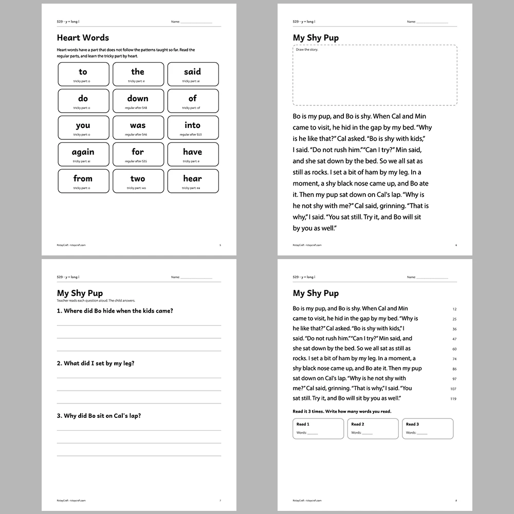 y = long i Decodable Readers | 10 Stories 44 Pages | Phonics Printable PDF | Ages 6-8