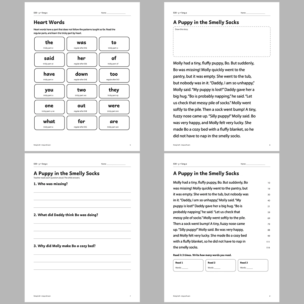 y = long e Decodable Readers | 10 Stories 44 Pages | Phonics Printable PDF | Ages 6-8