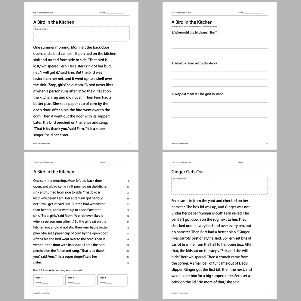 R-controlled er, ir, ur Decodable Readers | 10 Stories 44 Pages | Phonics Printable PDF | Ages 6-8