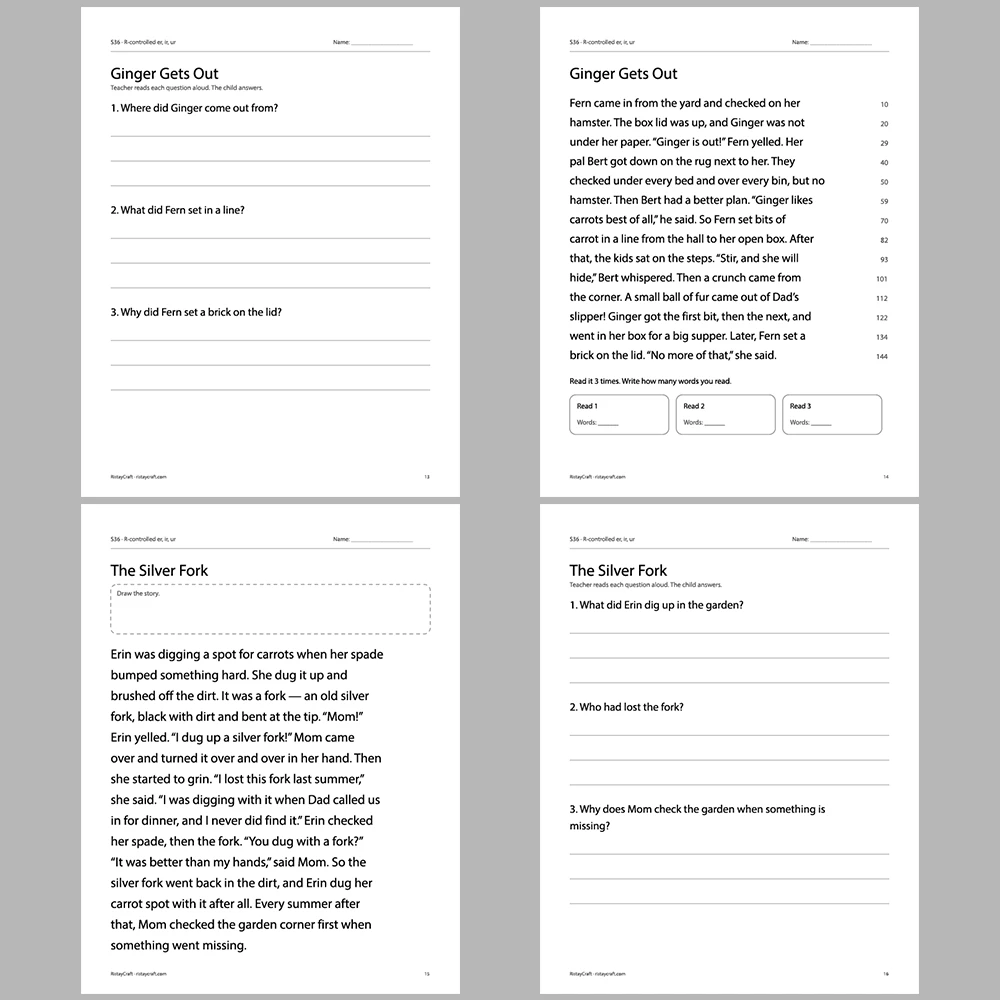 R-controlled er, ir, ur Decodable Readers | 10 Stories 44 Pages | Phonics Printable PDF | Ages 6-8