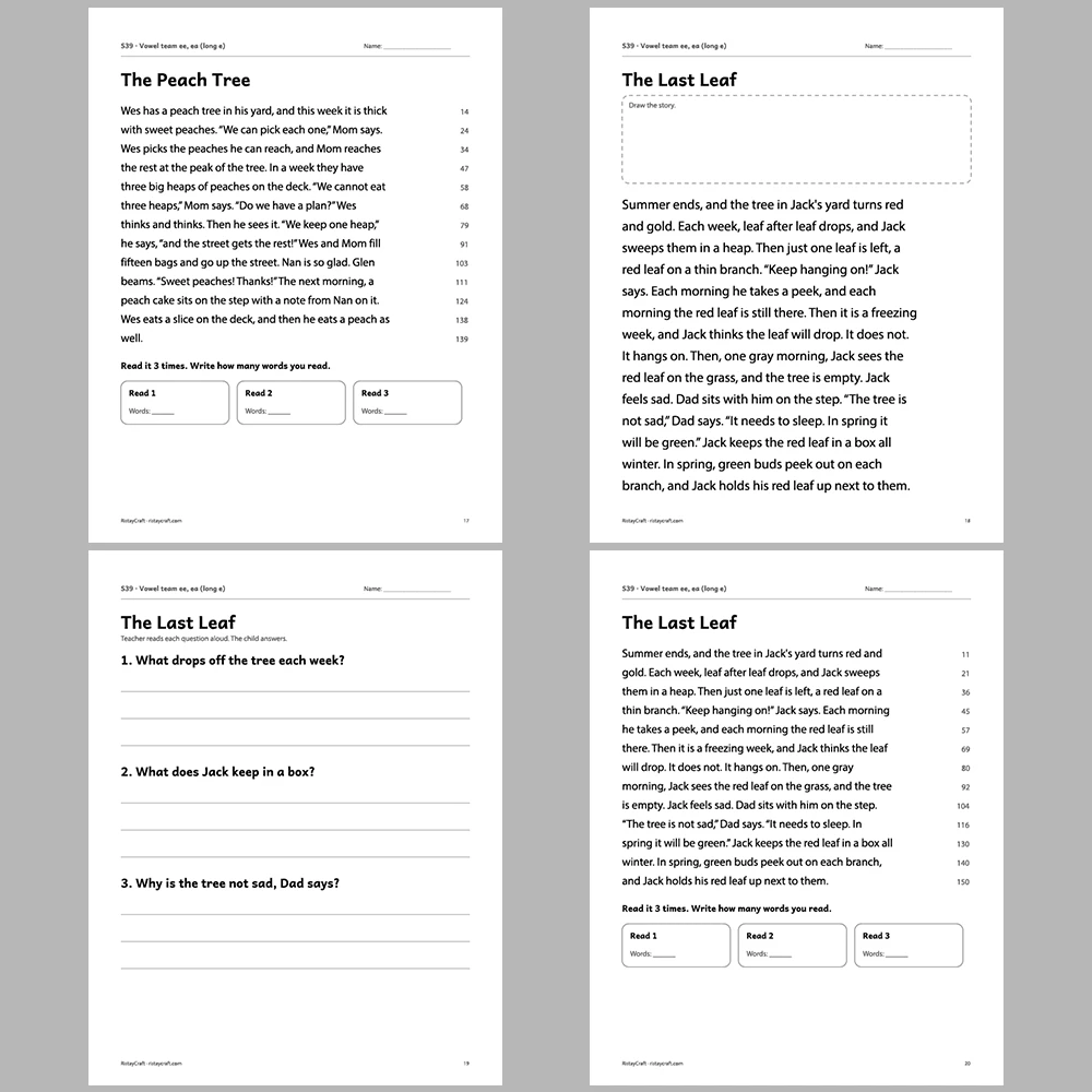 Vowel team ee, ea (long e) Decodable Readers | 10 Stories 44 Pages | Phonics Printable PDF | Ages 6-8